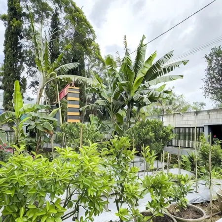 The Lavana Villa Aizel Family