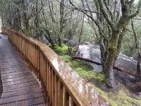 Cradle Alpine Retreat - parking