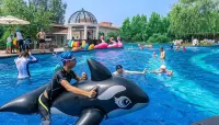 Longing Seaview Apartment (Dongdaihe Shanhai Tongwan Branch) - piscine