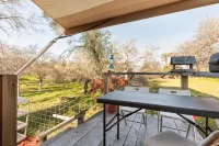 Twisted oaks forest cottage, Squaw Valley california - Homestays