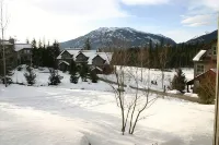 Views! Spacious 2-bed 2-bath corner townhouse, close to lifts and Village. - Jacuzzi