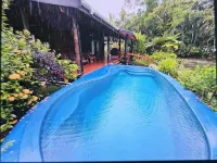 Absolute Beachfront Holiday Cottage with Private Saltwater Pool on Savusavu Bay - Swimmingpools