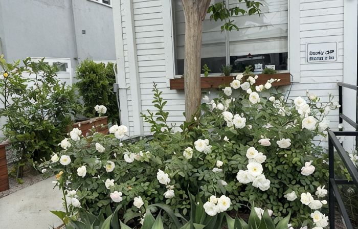 Charming, 3-bedroom house in Whittier with WiFi, AC near restaurants and hiking