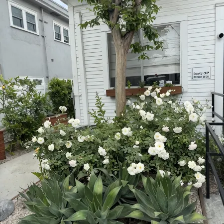 Charming, 3-bedroom house in Whittier with WiFi, AC near restaurants and hiking