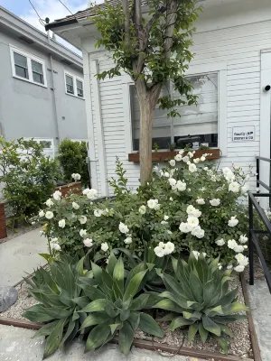 Charming, 3-bedroom house in Whittier with WiFi, AC near restaurants and hiking