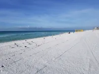 Stunning 11th floor Ocean/Golf views, Resort, Wifi - Apartments