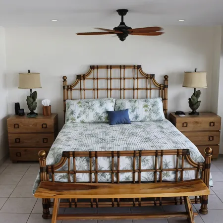 Banyan Tree #303 - The best oceanfront condo with a car, beach & all the gear!