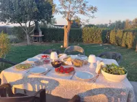 Podere "Il frassino" with swimming pool - Wifi