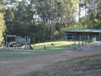 Cabins Nestled in 170 Acres of old Growth Forest Near the Valley of the Giants Hotels in Walpole