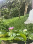 3號芭東山度假別墅 - Villa
