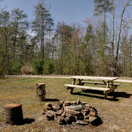 "Stars Hollow" Cozy Mini Cabin Stay - RRG Отели в г. Вулф Каунти