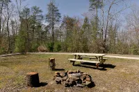 "Stars Hollow" Cozy Mini Cabin Stay - RRG