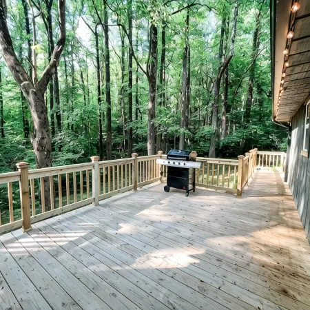 Get Cozy & take in the beauty of Groundhog Mountain @ the Cozy Doe!