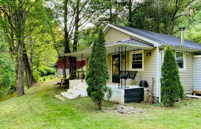 Creekside Cabin skiing/hiking & Appalachian Trail.