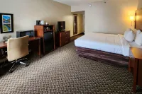 Comfort Inn & Suites Mount Pocono