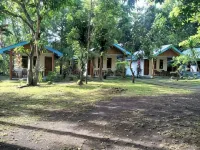 Tangkoko Macaca - Pet friendly