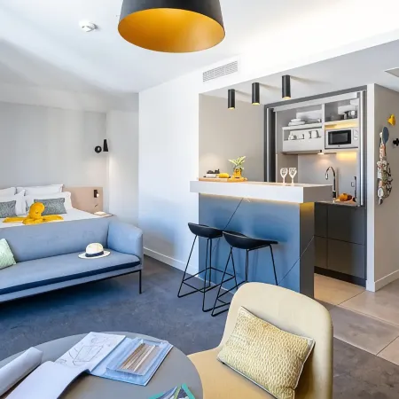 Nemea Appart Hotel Cannes Palais