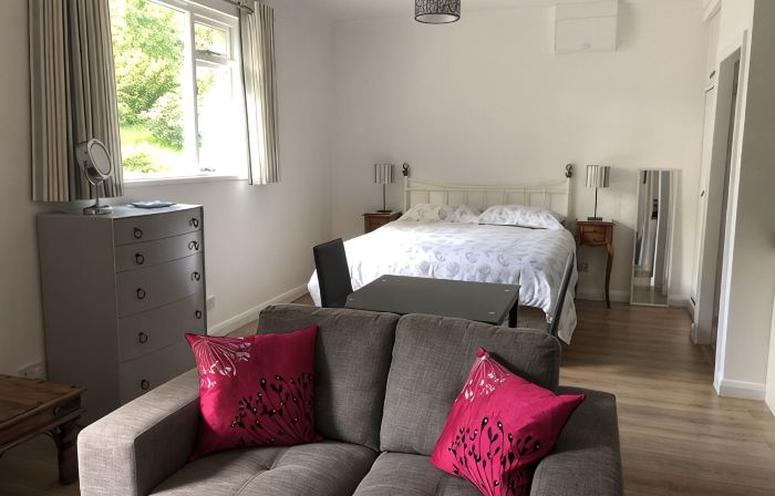 Spacious Studio Apartment with en-suite, full kitchen and private entrance