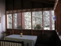 Little Pine Cabin/ 1 bed, 1 Bath