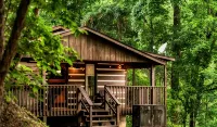 DisconnectToReconnect • Sauna • Stars • Dog-Friendly • 7 Mins to Pigeon Forge