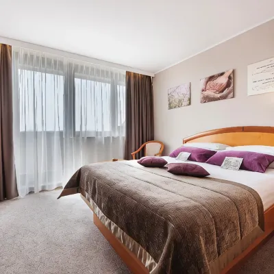 Ajda Hotels near Gostisce Aleksander