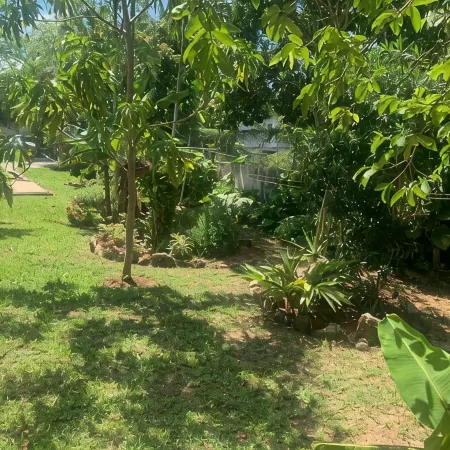 Open 3 BR 2 Bath Home with Private Pool, Wi-Fi, 5 Minutes to Cable Beach