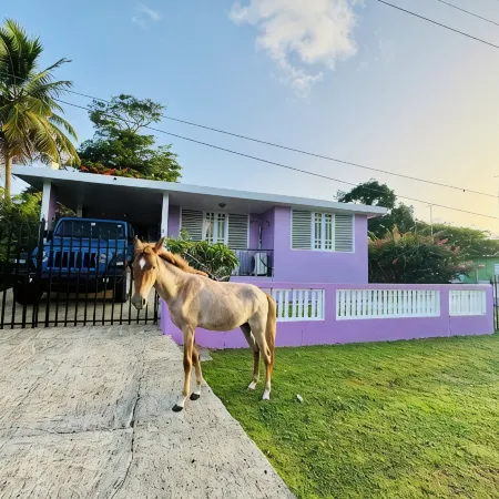 Purple Sunset - Walk to Malecon & Beaches