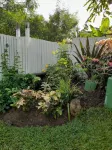 Tropical Blossom Apt. with washer, T.V, a/c,wi-fi - Homestays