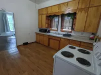 Funky, Fido-friendly flat near downtown Ishpeming. - Homestays
