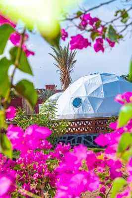 B&W SAHARA SKY HOTEL - Homestays