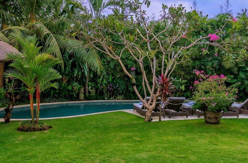 Villa Sipo photo 4