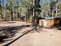 Your going to fall in love with this cabin.outstanding for family,multi families - Homestays