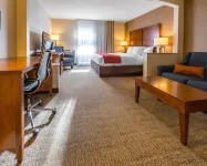 Comfort Inn & Suites - Pet friendly