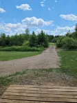 The Whitetail Cabin for a Northern Wisconsin experience of fun and relaxation... - Chalets