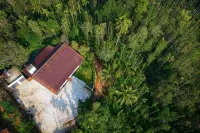 THE VILLA By Coffee Bloom Estates - Biệt thự