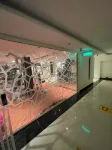 Mira Business Hotel - salle de sport