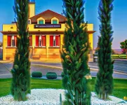 Le Green des Impressionnistes - bar