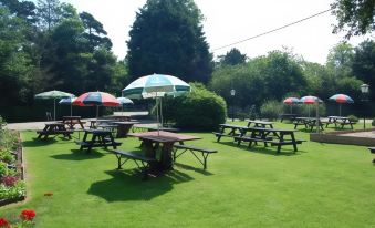 a large grassy field with several picnic tables and umbrellas , providing a pleasant outdoor environment for relaxation and gatherings at Sorrel Horse Inn