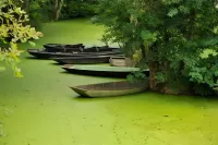 La Gauviniere Hotels in Liez