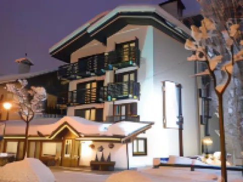 ホテル レ ジュモー クールマイヨール クールマイユールのホテル