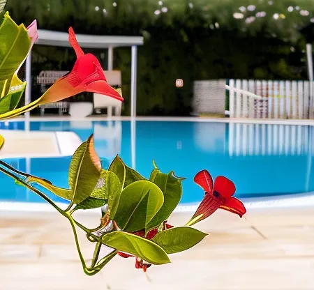 Hotel Aria di Mare
