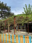 Olympos Camlık Pension Hotels in Kumluca