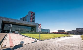 Arva Abad San Antonio