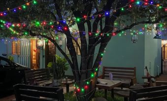 Bush Adventure Guest House