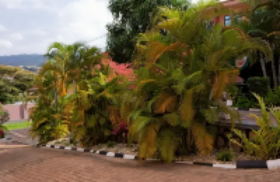 Romalo Hotel & Apartments