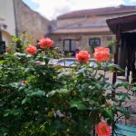Maison d'hôtes Payan Champier Hotels in Pierrelatte