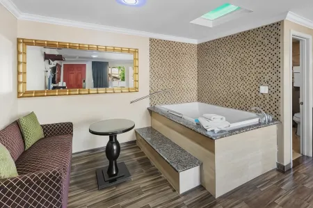 Sky Palm Motel - Orange Отели рядом с достопримечательностью «Университет Чапман»