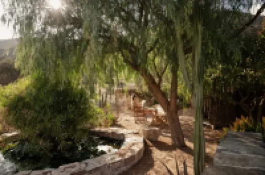 Under the Linden Tree Tinos