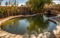 Siwa Shali Resort - Hot Springs