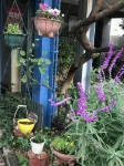 사디의 집 - 애견동반